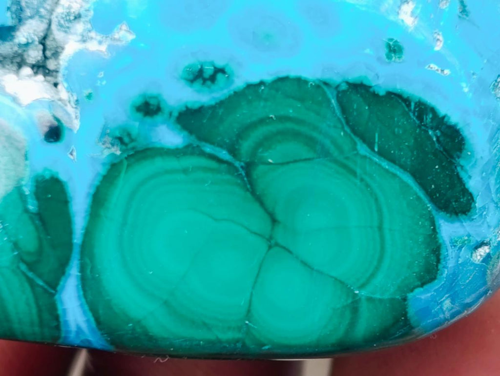 Polished Malacolla Free Forms x 35 From Kulukuluku, Congo