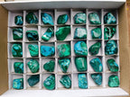 Polished Malacolla Free Forms x 35 From Kulukuluku, Congo