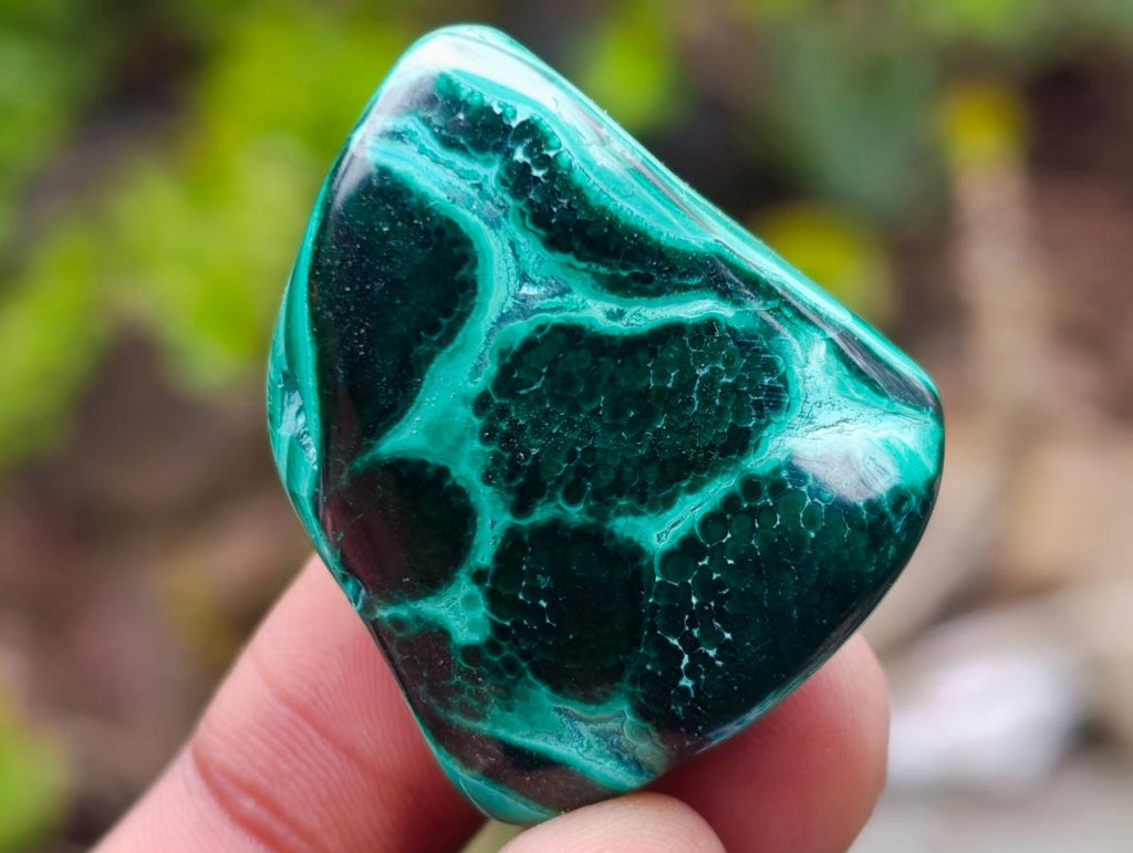 Polished Malacolla Free Forms x 35 From Kulukuluku, Congo