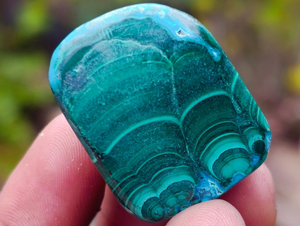 Polished Malacolla Free Forms x 35 From Kulukuluku, Congo