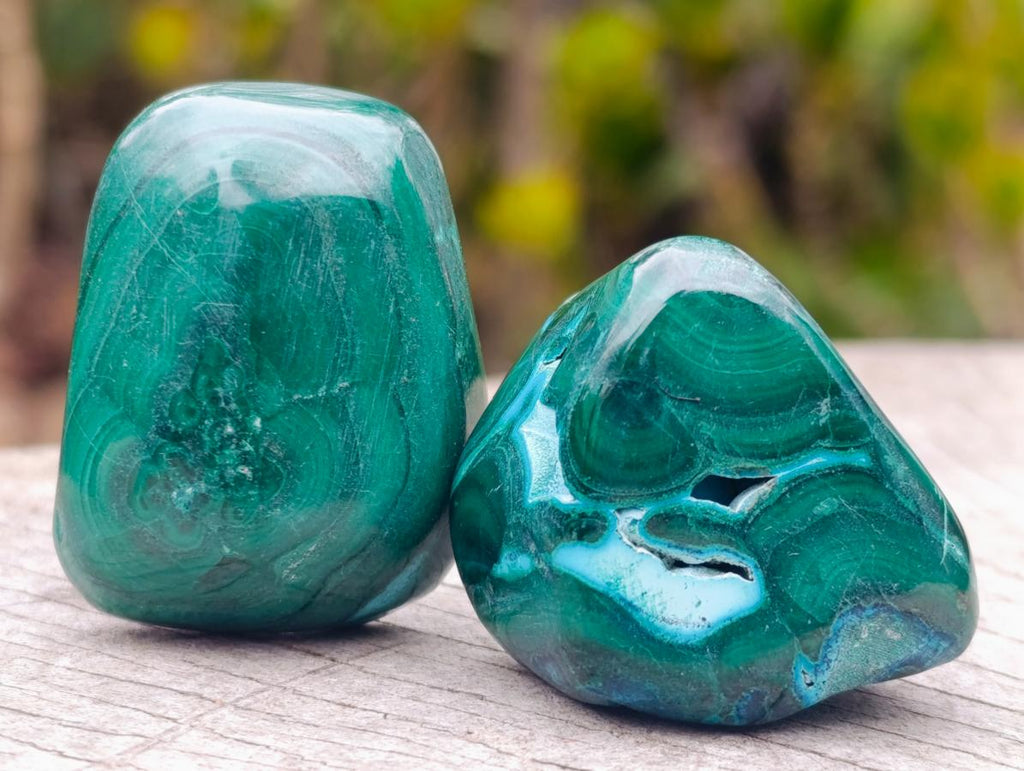 Polished Malacolla Free Forms x 35 From Kulukuluku, Congo