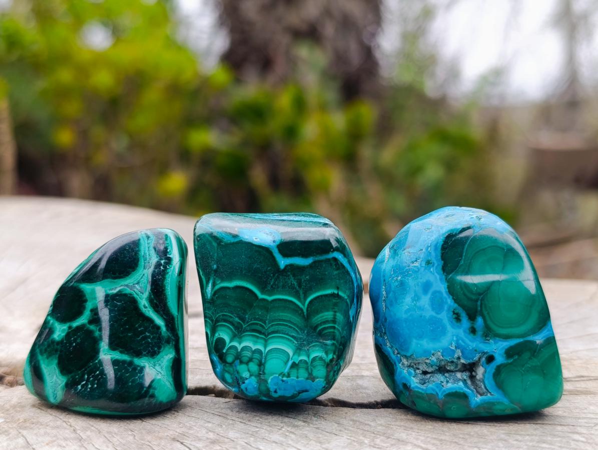 Polished Malacolla Free Forms x 35 From Kulukuluku, Congo