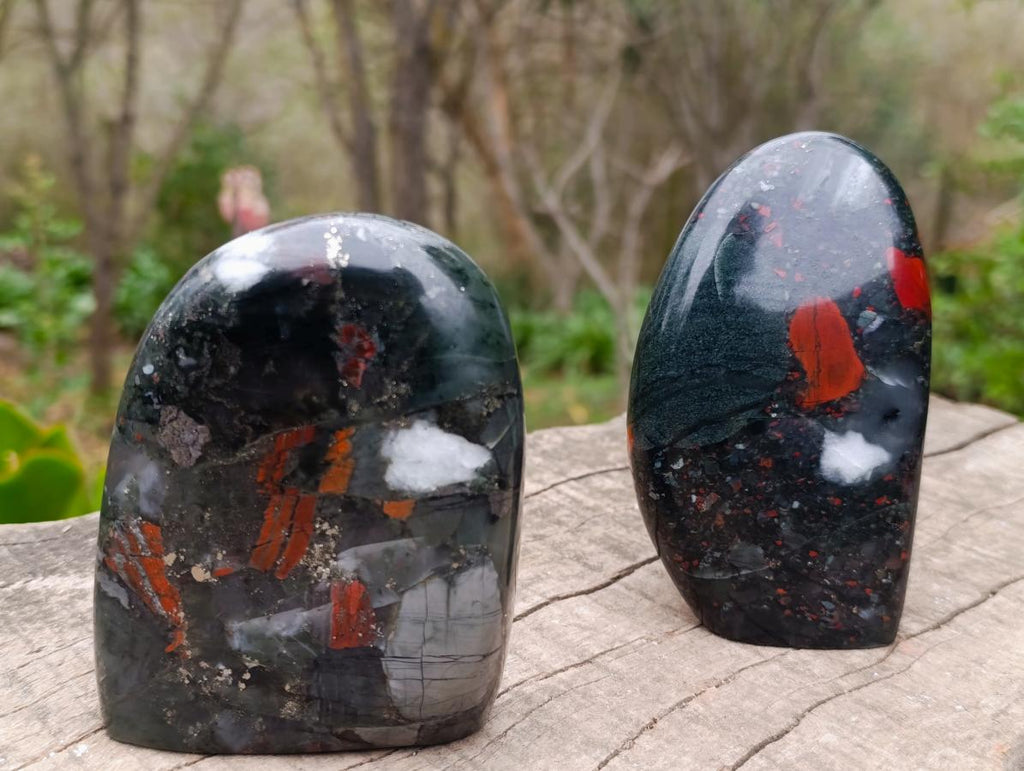 Polished Bloodstone Standing Display Pieces x 2 From Swaziland