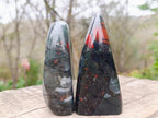 Polished Bloodstone Standing Display Pieces x 2 From Swaziland