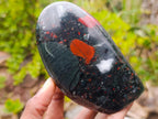 Polished Bloodstone Standing Display Pieces x 2 From Swaziland