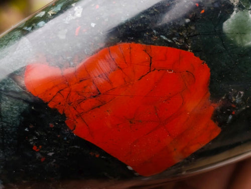 Polished Bloodstone Standing Display Pieces x 2 From Swaziland