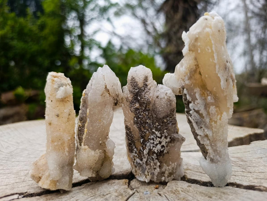 Natural Drusy Quartz Coated "Cock Spur" Calcite Crystals x 12 From Albert's Mountain, Lesotho