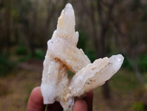 Natural Drusy Quartz Coated "Cock Spur" Calcite Crystals x 12 From Albert's Mountain, Lesotho