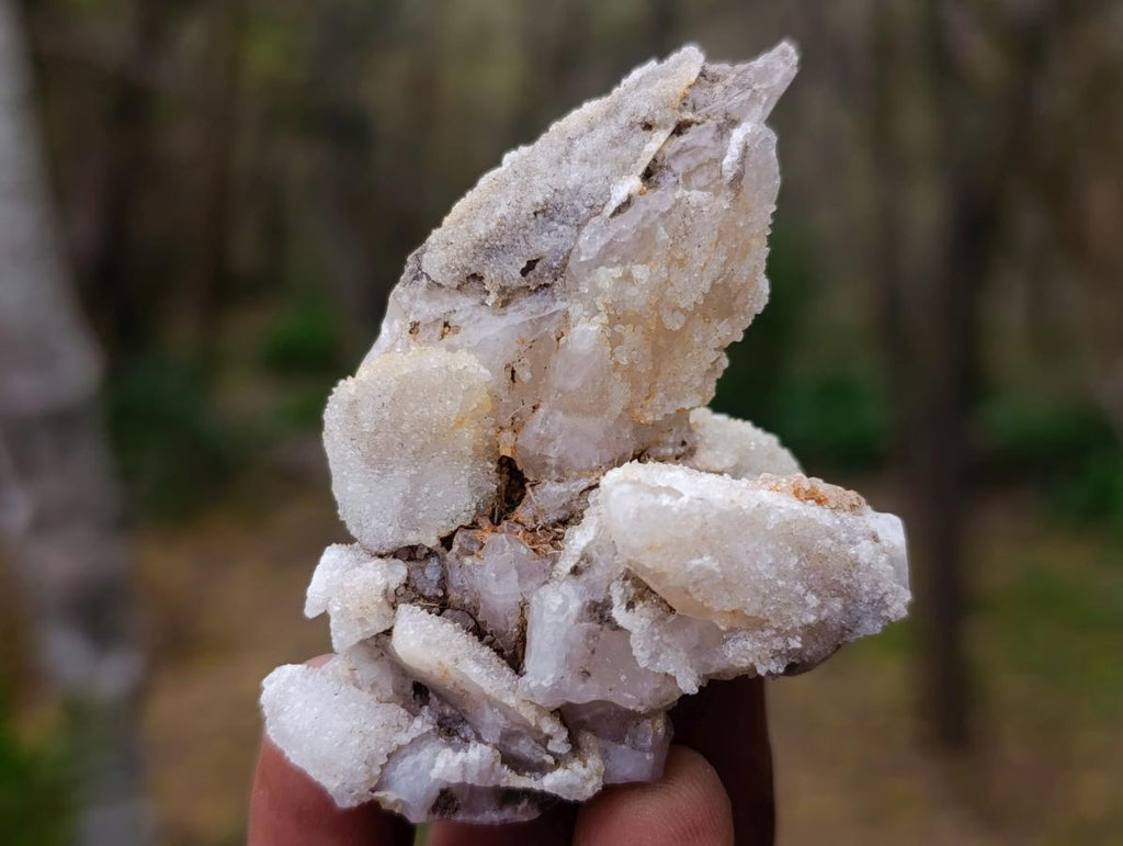 Natural Drusy Quartz Coated "Cock Spur" Calcite Crystals x 12 From Albert's Mountain, Lesotho