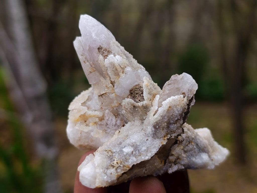 Natural Drusy Quartz Coated "Cock Spur" Calcite Crystals x 12 From Albert's Mountain, Lesotho
