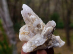 Natural Drusy Quartz Coated "Cock Spur" Calcite Crystals x 12 From Albert's Mountain, Lesotho