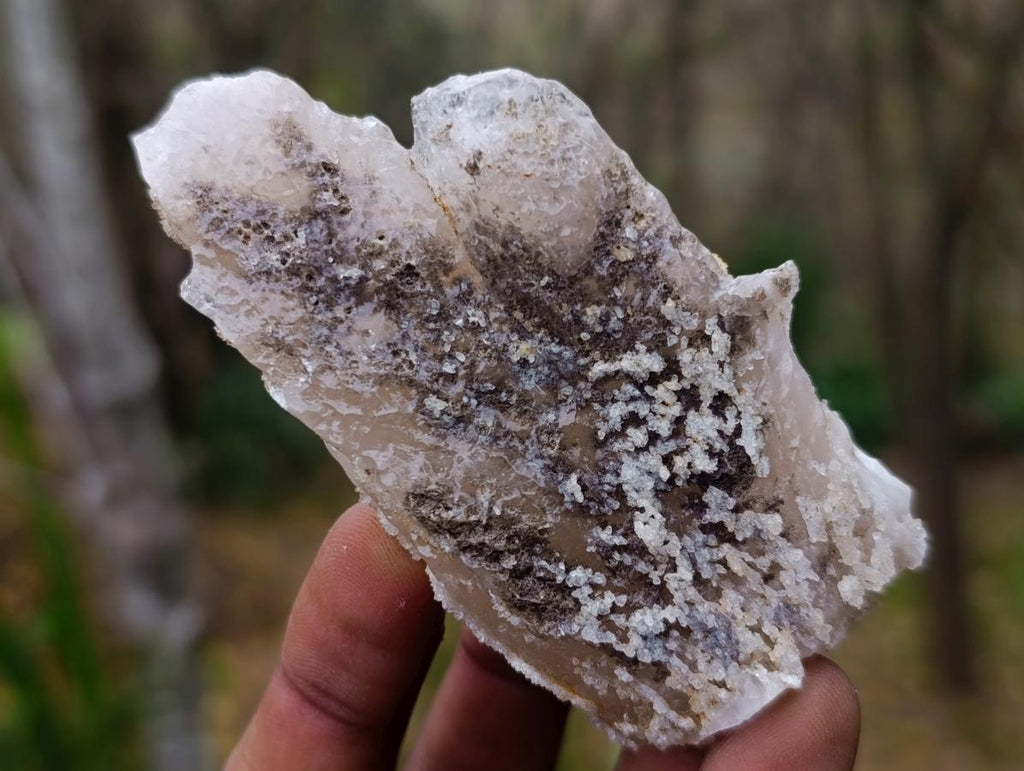 Natural Drusy Quartz Coated "Cock Spur" Calcite Crystals x 12 From Albert's Mountain, Lesotho