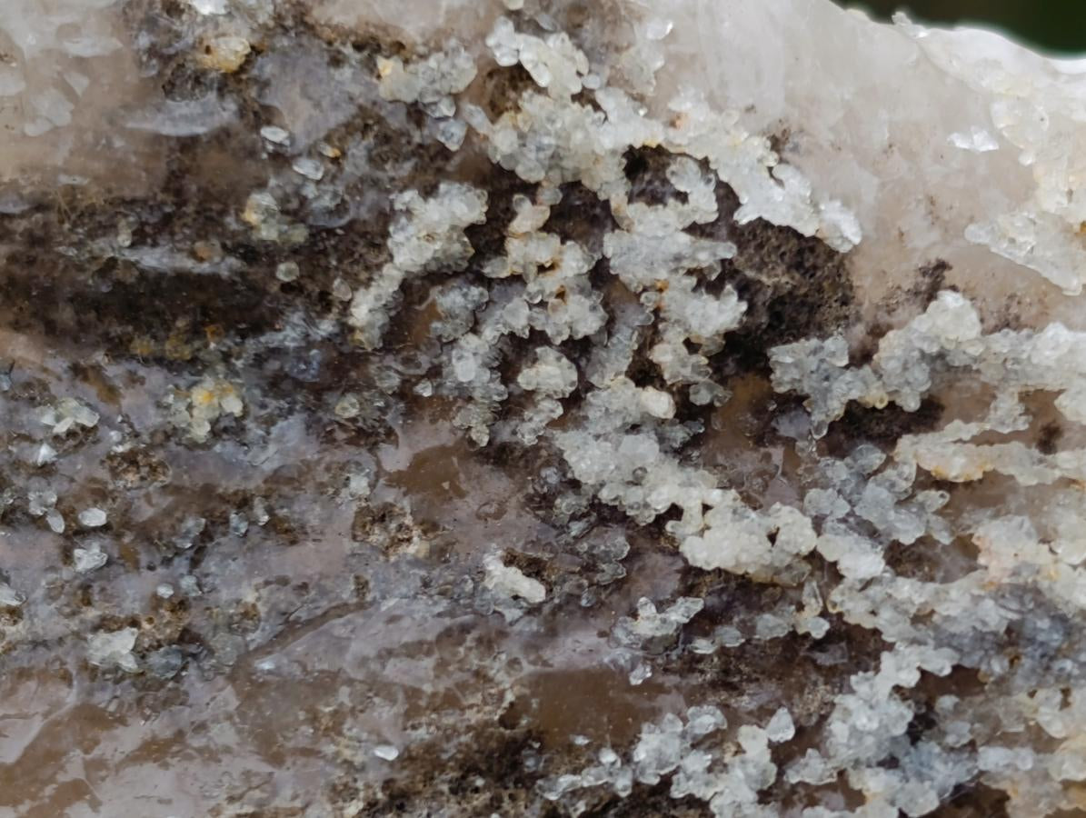 Natural Drusy Quartz Coated "Cock Spur" Calcite Crystals x 12 From Albert's Mountain, Lesotho