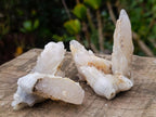 Natural Drusy Quartz Coated "Cock Spur" Calcite Crystals x 12 From Albert's Mountain, Lesotho