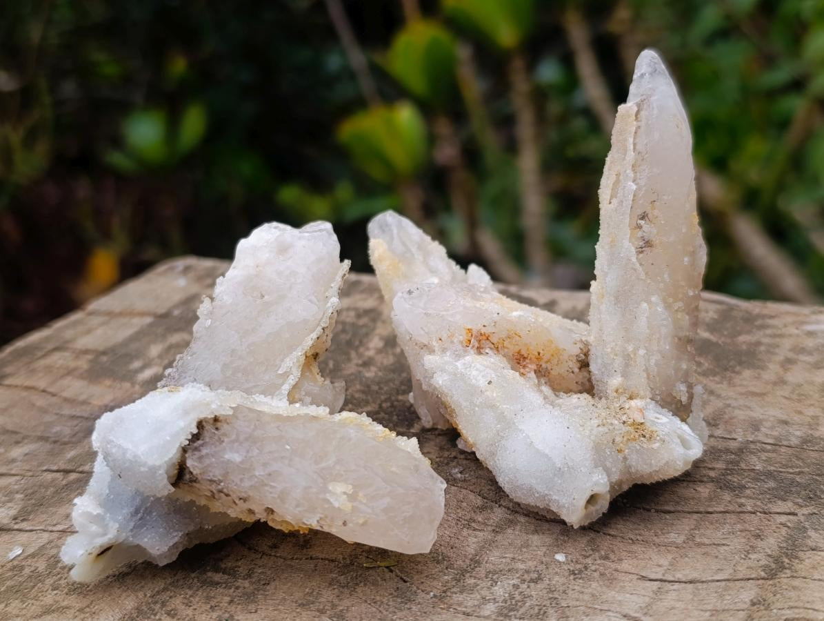 Natural Drusy Quartz Coated "Cock Spur" Calcite Crystals x 12 From Albert's Mountain, Lesotho