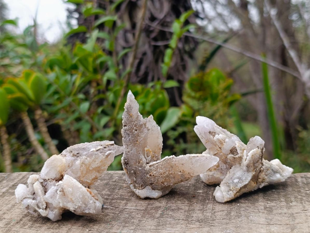 Natural Drusy Quartz Coated "Cock Spur" Calcite Crystals x 12 From Albert's Mountain, Lesotho