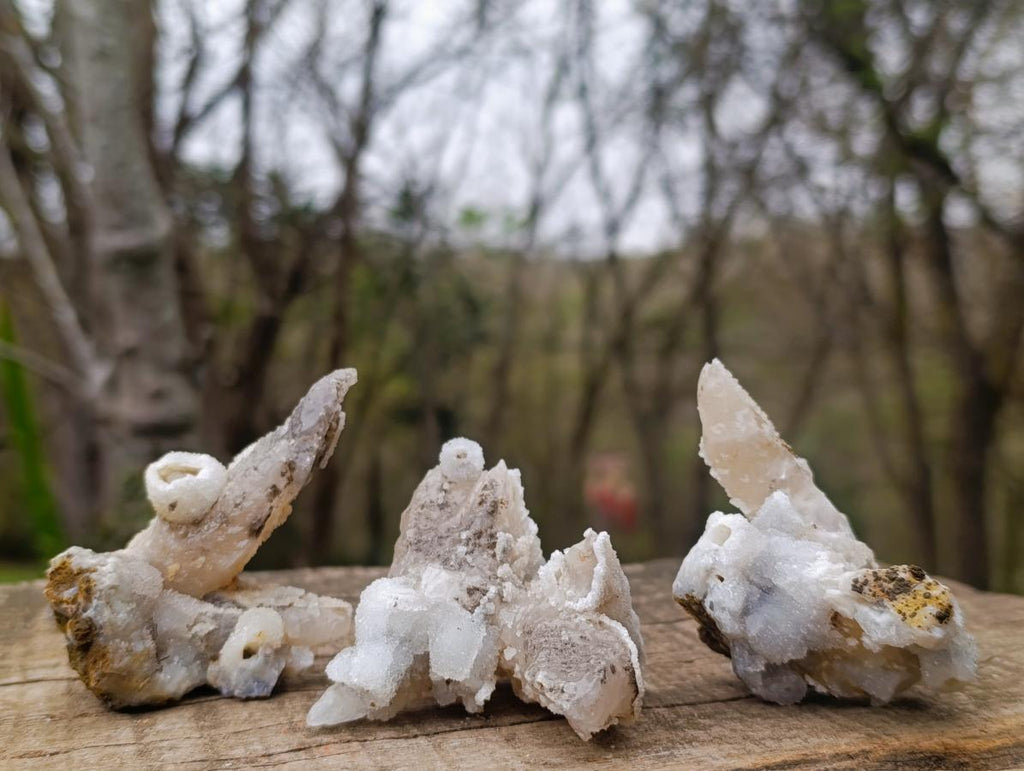 Natural Drusy Quartz Coated "Cock Spur" Calcite Crystals x 12 From Albert's Mountain, Lesotho