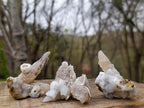 Natural Drusy Quartz Coated "Cock Spur" Calcite Crystals x 12 From Albert's Mountain, Lesotho