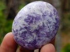 Polished Lepidolite Galets x 20 From Ambatondrazaka, Madagascar