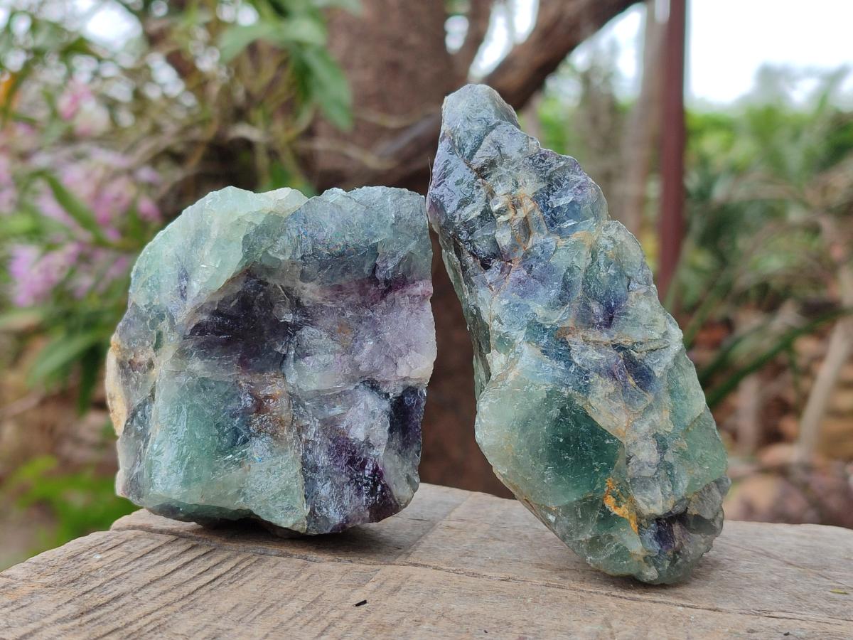 Natural Watermelon Fluorite Cobbed Specimens x 12 From Uis, Namibia