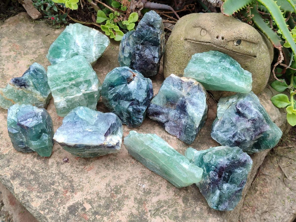 Natural Watermelon Fluorite Cobbed Specimens x 12 From Uis, Namibia