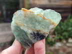 Natural Watermelon Fluorite Cobbed Specimens x 12 From Uis, Namibia