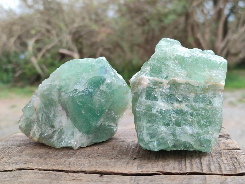 Natural Watermelon Fluorite Cobbed Specimens x 12 From Uis, Namibia