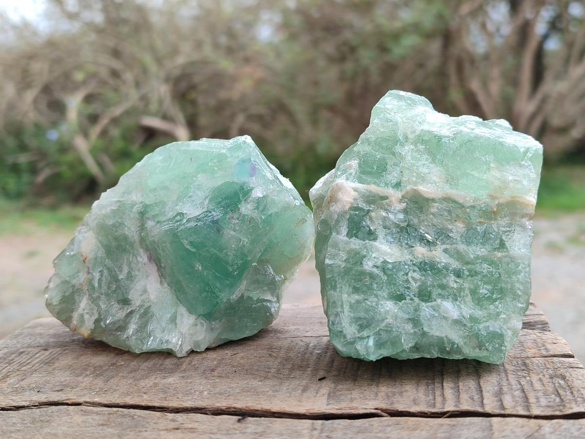 Natural Watermelon Fluorite Cobbed Specimens x 12 From Uis, Namibia