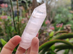 Polished Gemmy Rose Quartz Crystals x 12 From Madagascar