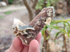 Natural Drusy Fairy Spirit Quartz Single Crystals x 35 From Boekenhouthoek, South Africa