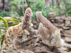 Natural Drusy Fairy Spirit Quartz Single Crystals x 35 From Boekenhouthoek, South Africa
