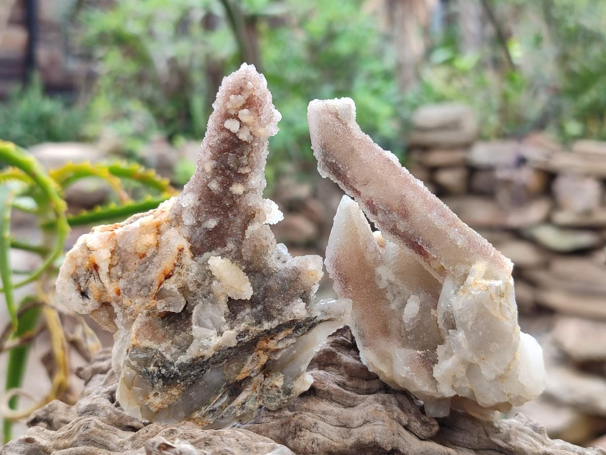 Natural Drusy Fairy Spirit Quartz Single Crystals x 35 From Boekenhouthoek, South Africa