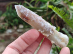 Natural Drusy Fairy Spirit Quartz Single Crystals x 35 From Boekenhouthoek, South Africa