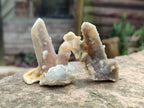 Natural Drusy Fairy Spirit Quartz Single Crystals x 35 From Boekenhouthoek, South Africa