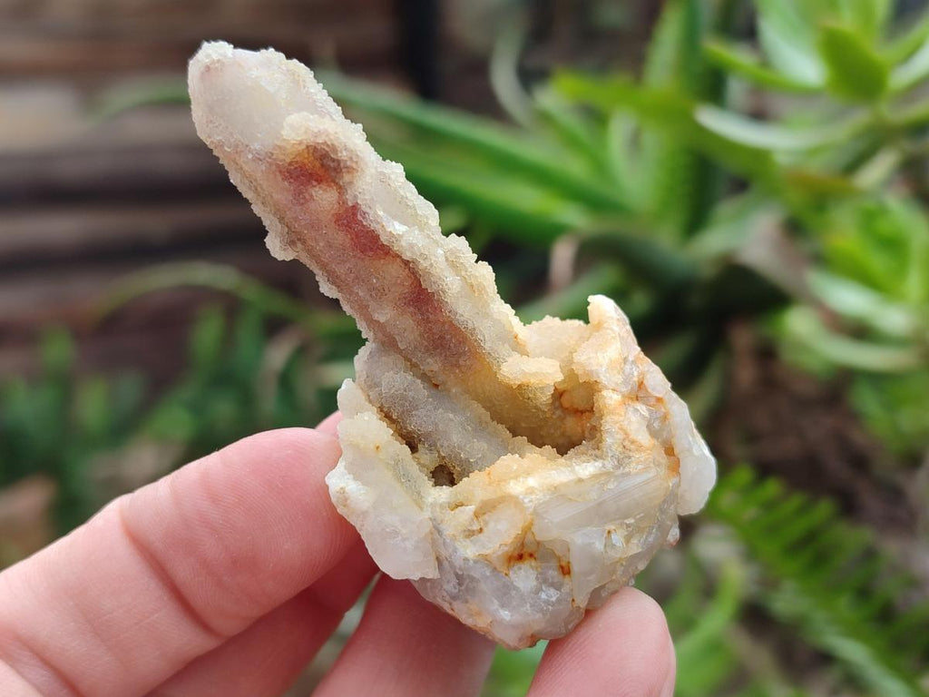 Natural Drusy Fairy Spirit Quartz Single Crystals x 35 From Boekenhouthoek, South Africa