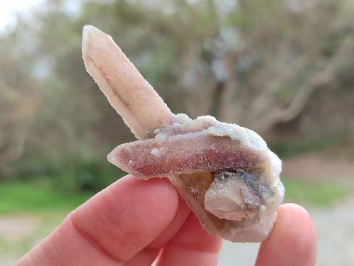 Natural Drusy Fairy Spirit Quartz Single Crystals x 35 From Boekenhouthoek, South Africa