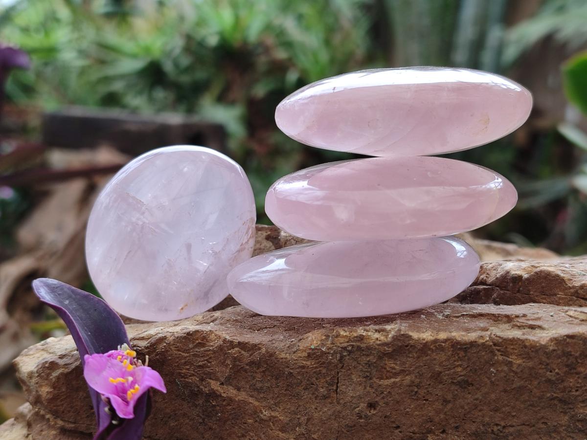 Polished Gemmy Rose Quartz Galets x 24 From Madagascar