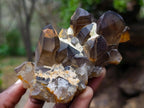 Natural Mix of Mineral Specimens x 6 From Erongo, Namibia