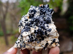 Natural Mix of Mineral Specimens x 6 From Erongo, Namibia