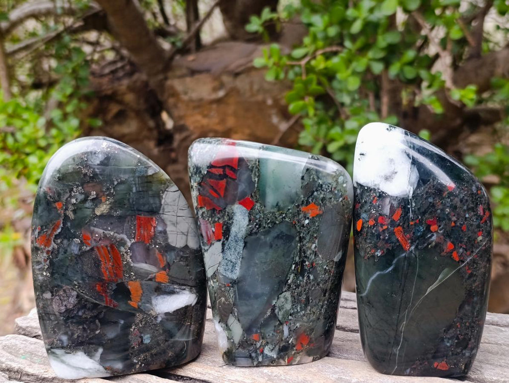 Polished Bloodstone Standing Display Pieces x 3 From Swaziland