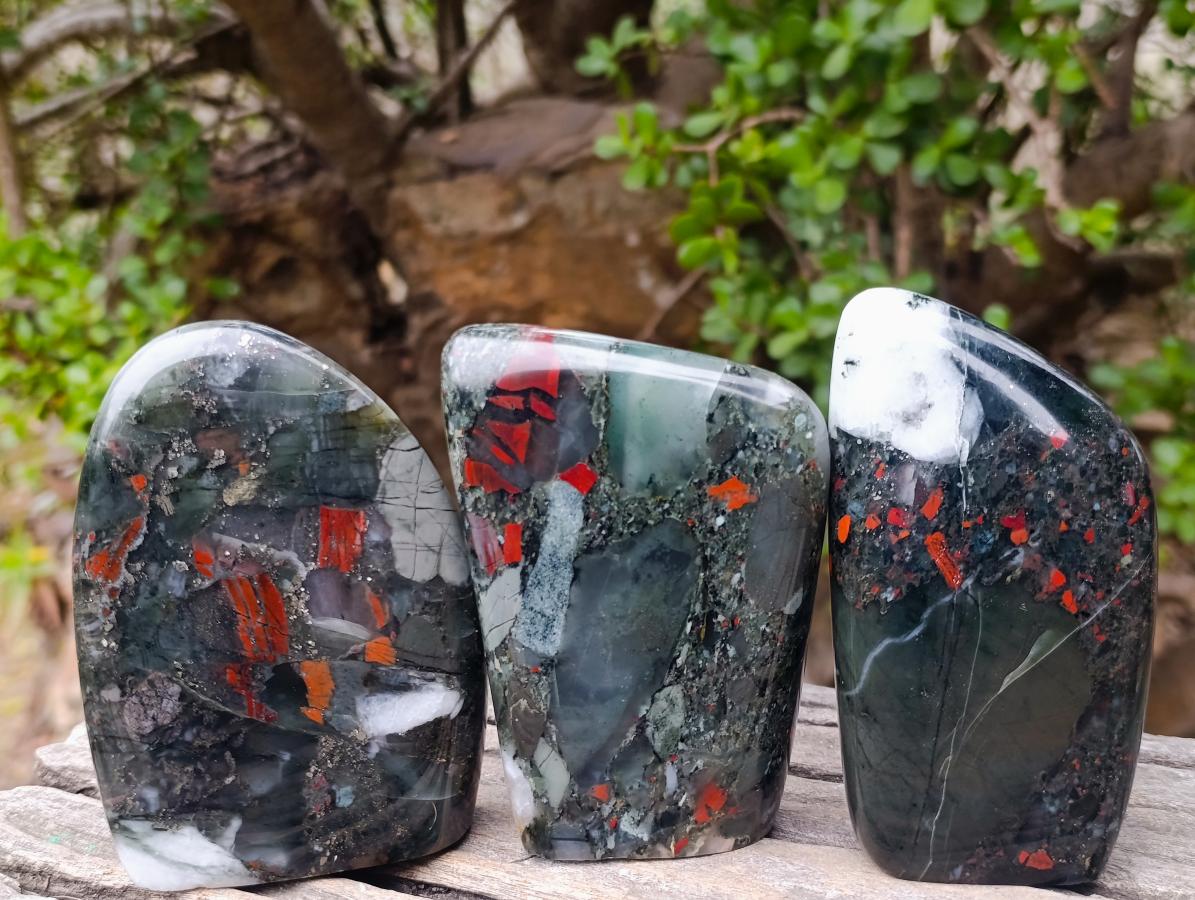 Polished Bloodstone Standing Display Pieces x 3 From Swaziland