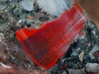 Polished Bloodstone Standing Display Pieces x 3 From Swaziland