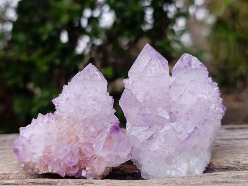 Natural Spirit Amethyst Clusters x 12 From Boekenhouthoek, South Africa