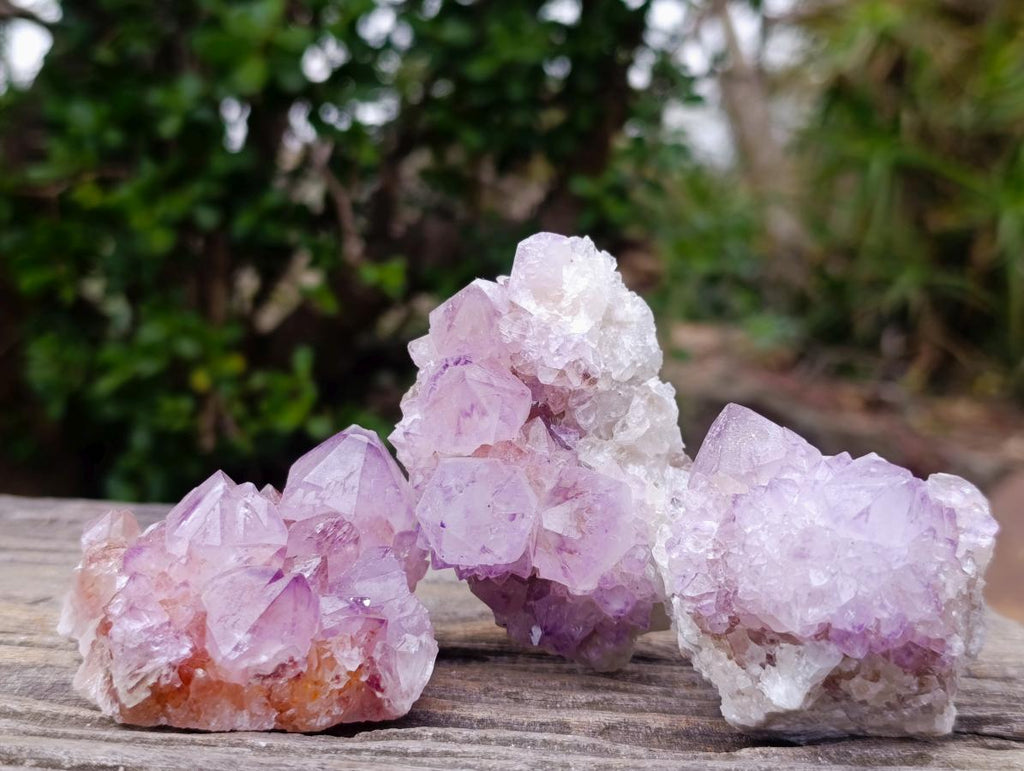 Natural Spirit Amethyst Clusters x 12 From Boekenhouthoek, South Africa