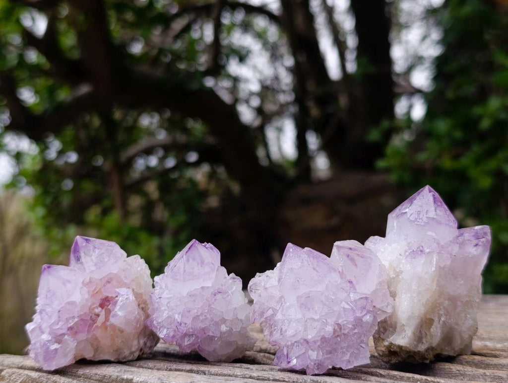 Natural Spirit Amethyst Clusters x 12 From Boekenhouthoek, South Africa