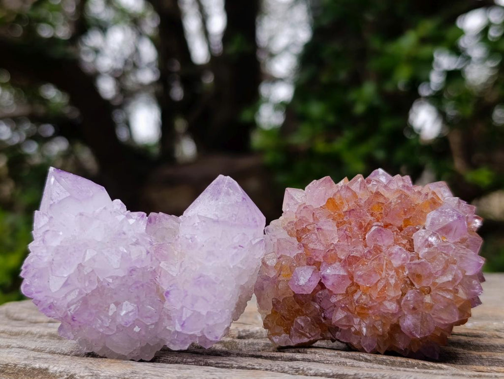 Natural Spirit Amethyst Clusters x 12 From Boekenhouthoek, South Africa