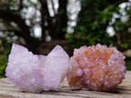 Natural Spirit Amethyst Clusters x 12 From Boekenhouthoek, South Africa