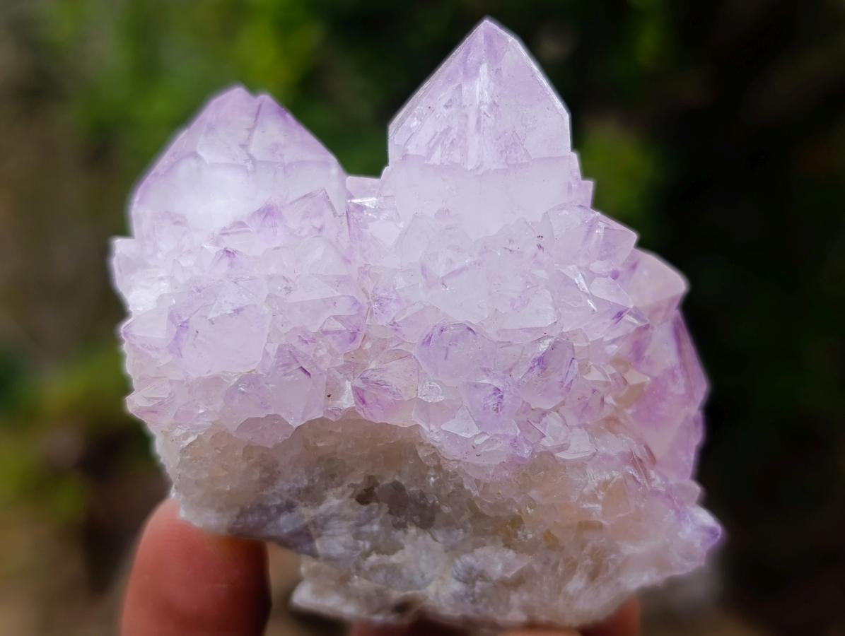 Natural Spirit Amethyst Clusters x 12 From Boekenhouthoek, South Africa