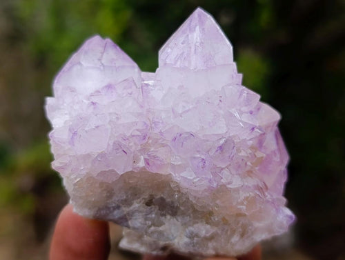 Natural Spirit Amethyst Clusters x 12 From Boekenhouthoek, South Africa