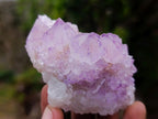 Natural Spirit Amethyst Clusters x 12 From Boekenhouthoek, South Africa